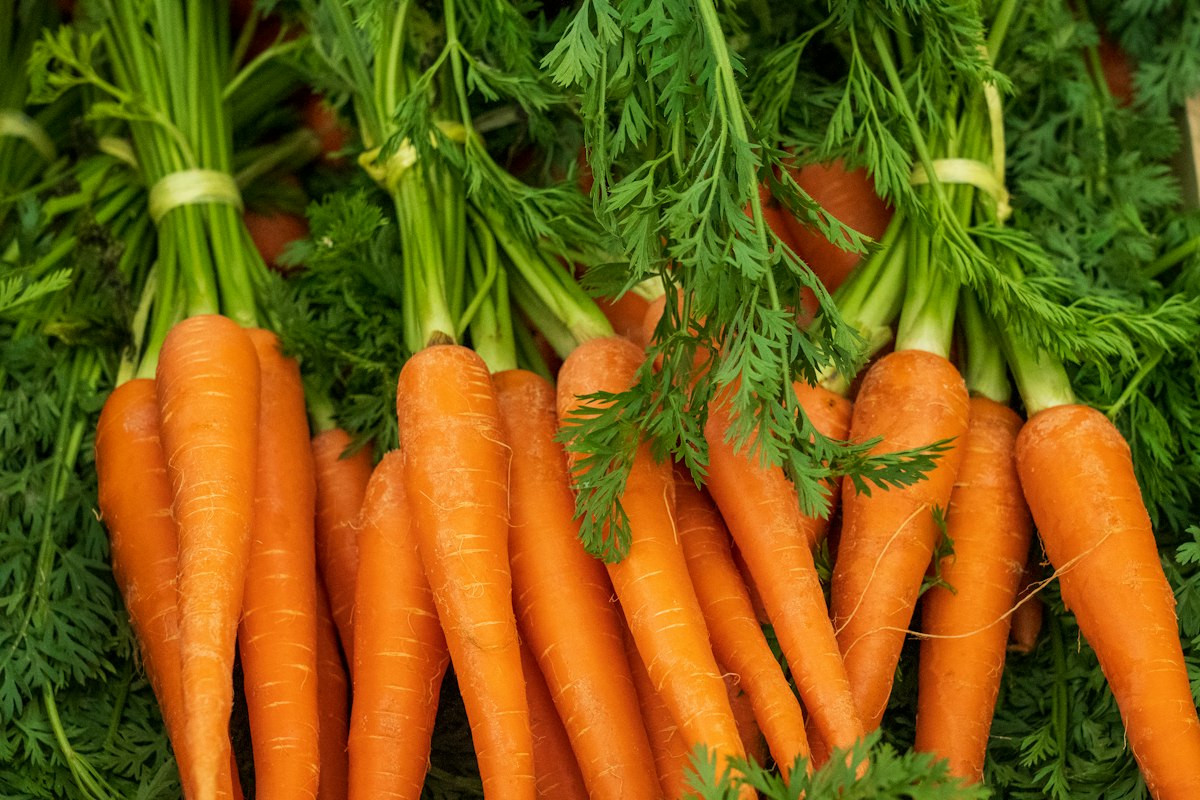 Makanan kaya lutein dan antioksidan untuk kesehatan mata